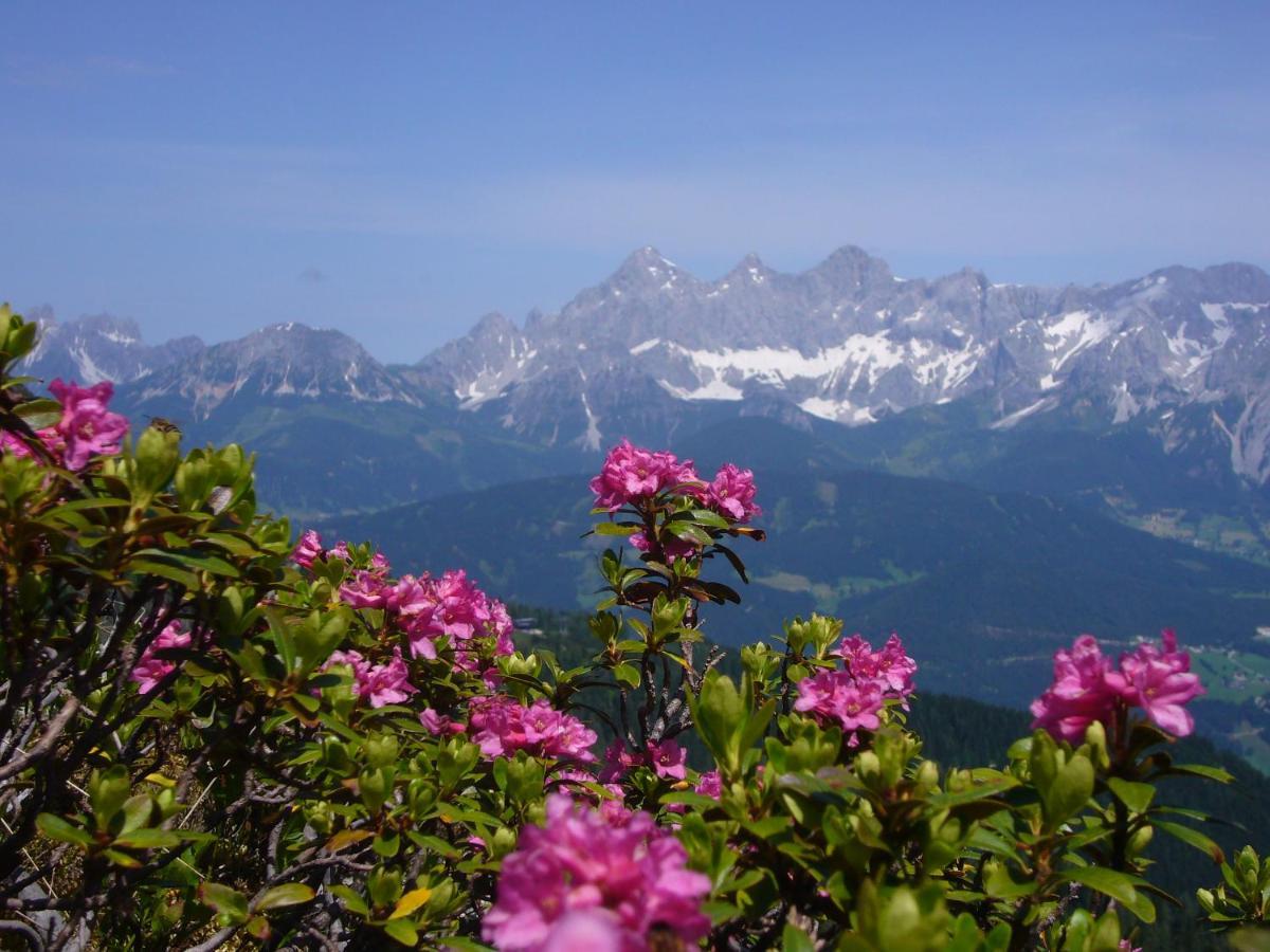 Appartements Wiesbach Ramsau am Dachstein Bagian luar foto