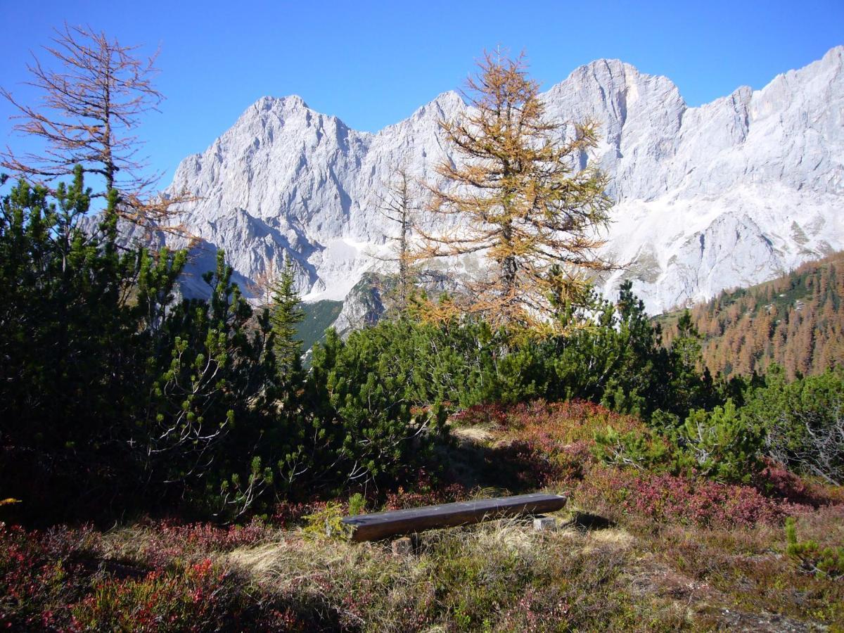 Appartements Wiesbach Ramsau am Dachstein Bagian luar foto